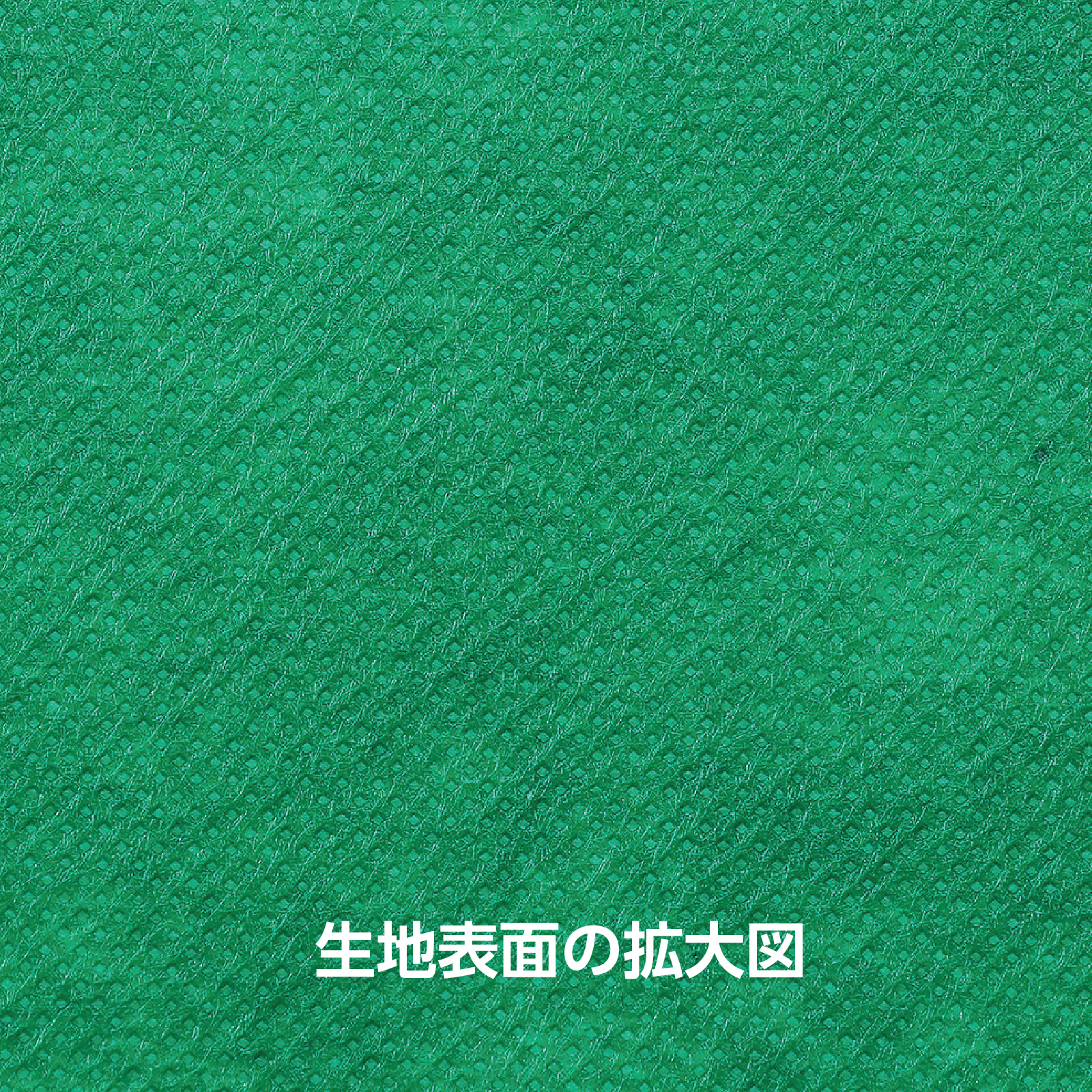 ●カラー不織布 10m巻 緑