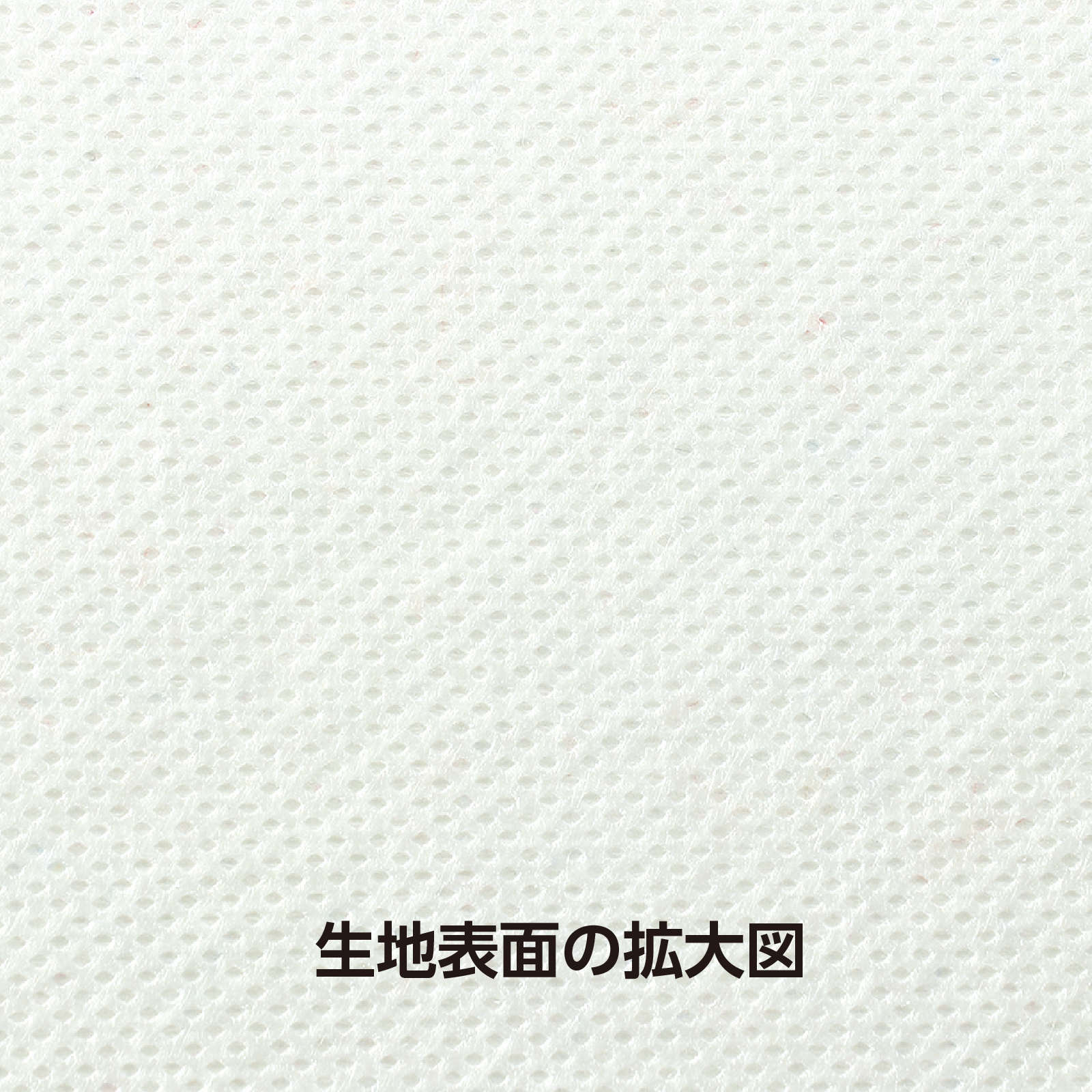 ●カラー不織布 10m巻 白