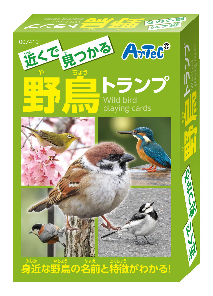 近くで見つかる野鳥トランプ