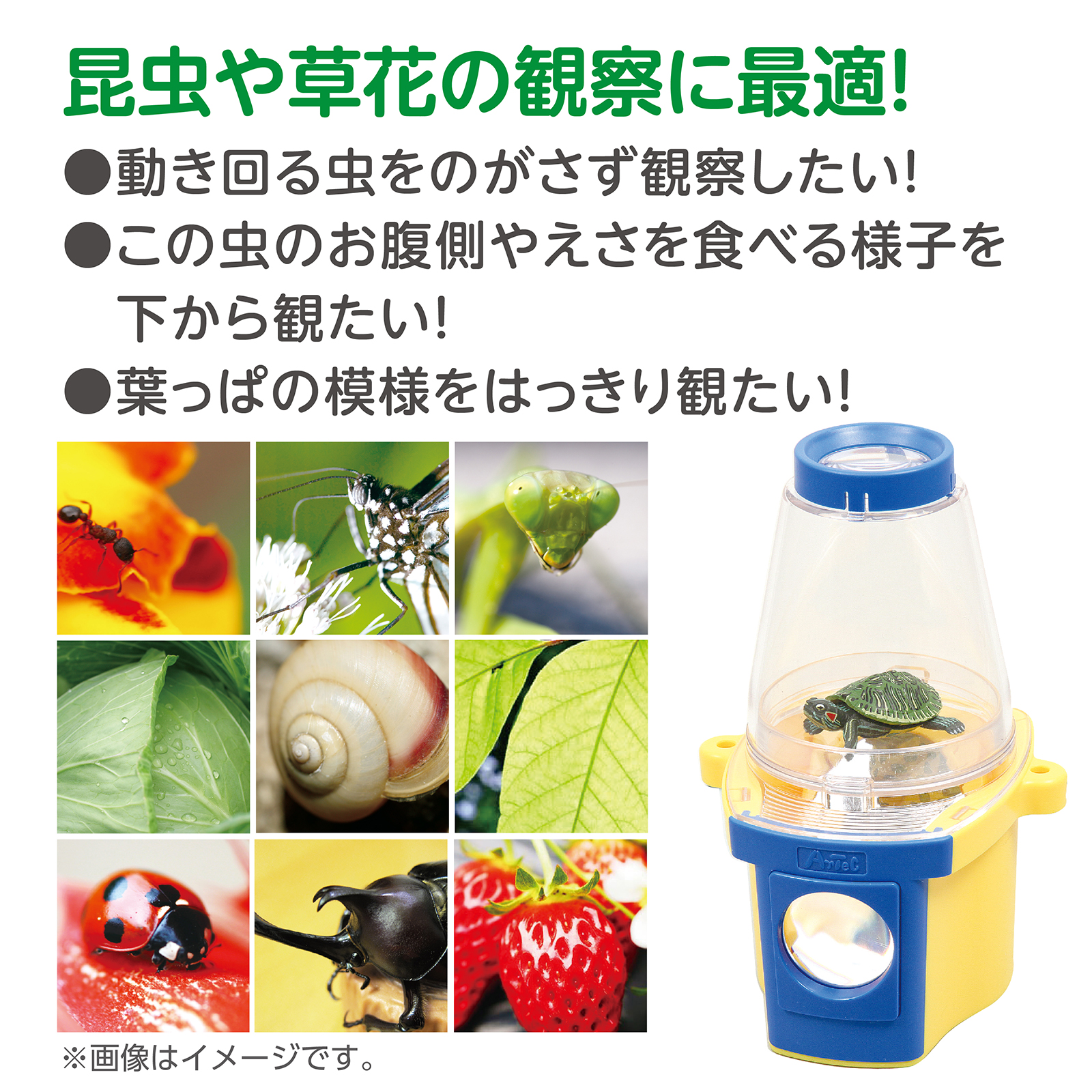 まるみえダブル観察器