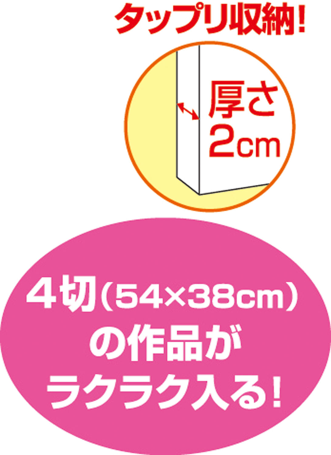 ●新 作品収納ケース 特大 白無地